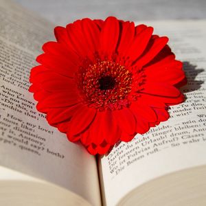 四日市での準中型免許を取得しているドライバーさんを募集しております。