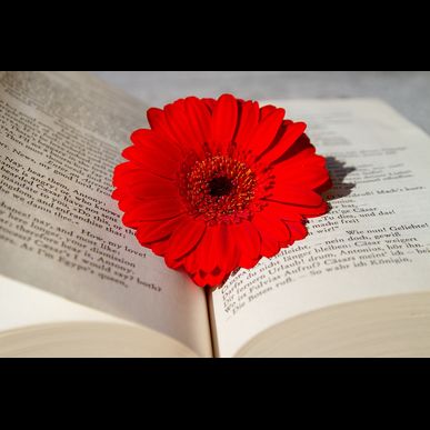 四日市での準中型免許を取得しているドライバーさんを募集しております。